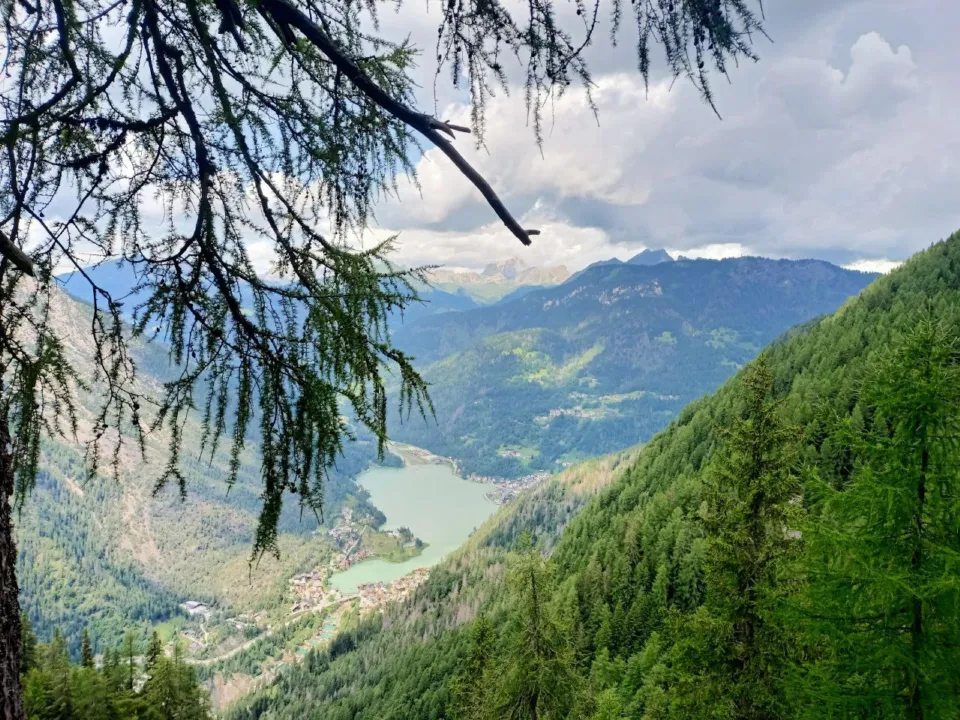 Lake Alleghe and its village seen through larch branches from the slopes above