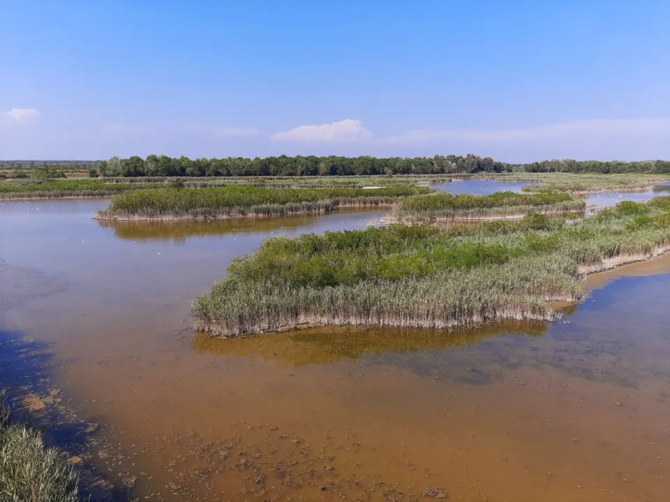 Salt marshes and reed islands in the Caorle lagoon