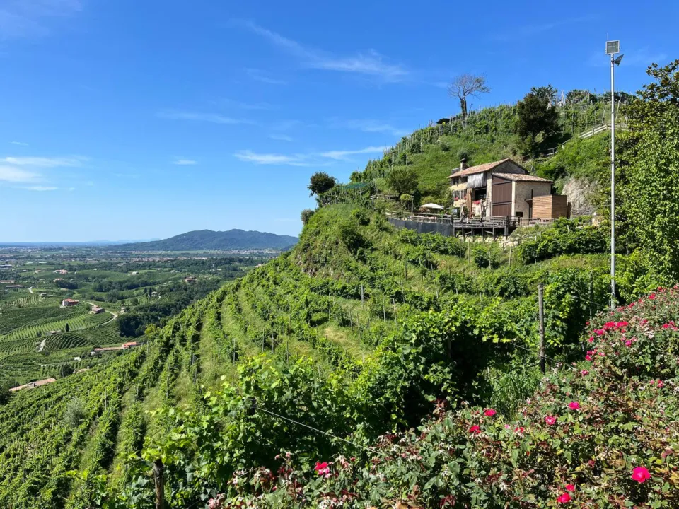 House perched on a steep vineyard slope in the Prosecco Hills